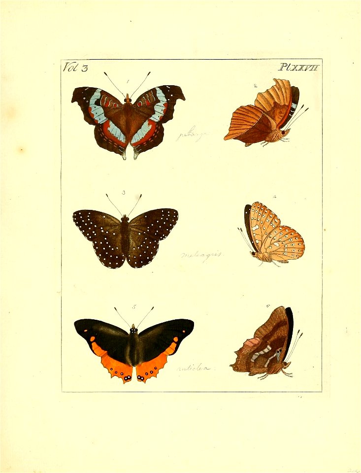 n122_w1150