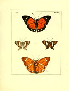 n72_w1150