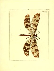 n172_w1150