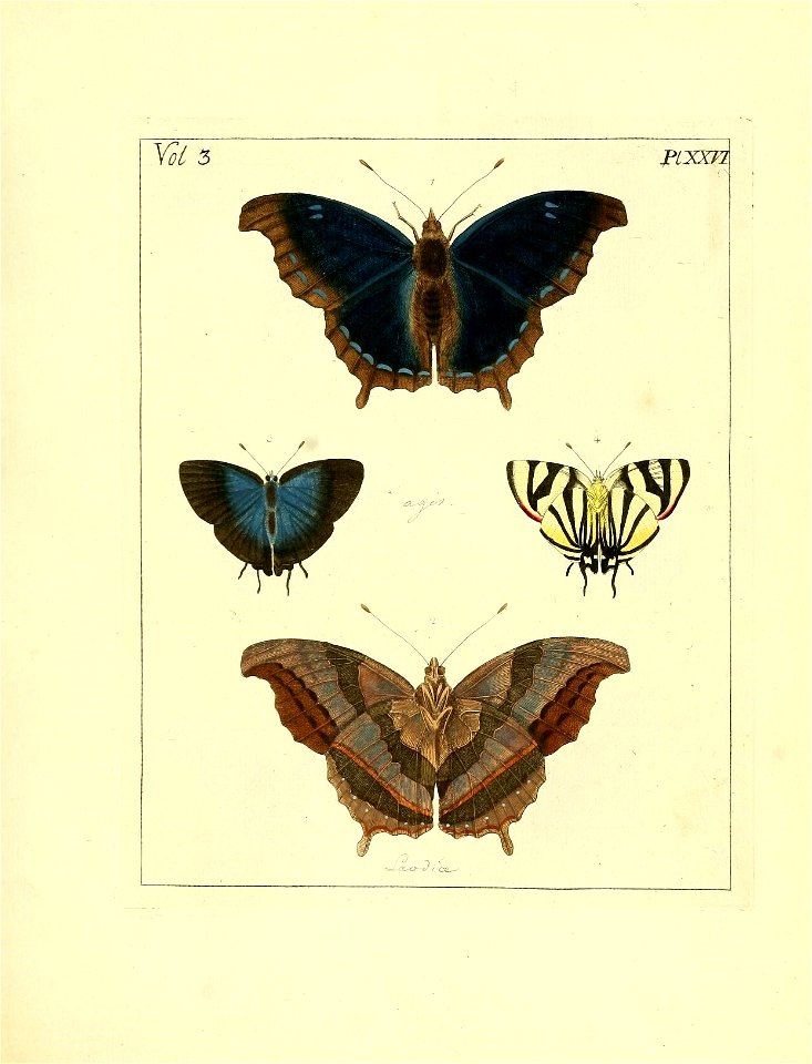 n120_w1150