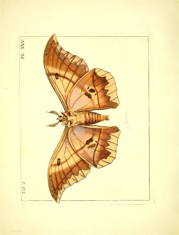 n117_w1150