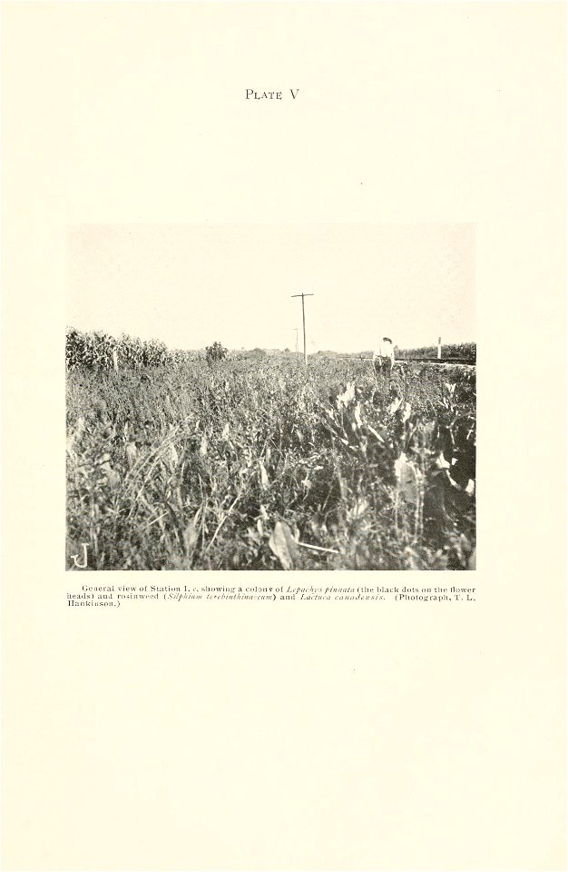 n270_w1150