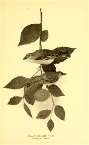 n388_w1150
