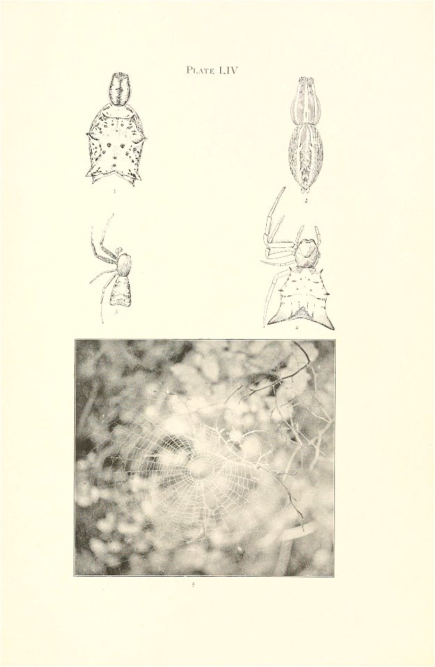 n368_w1150