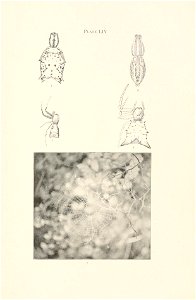 n368_w1150