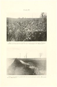 n268_w1150
