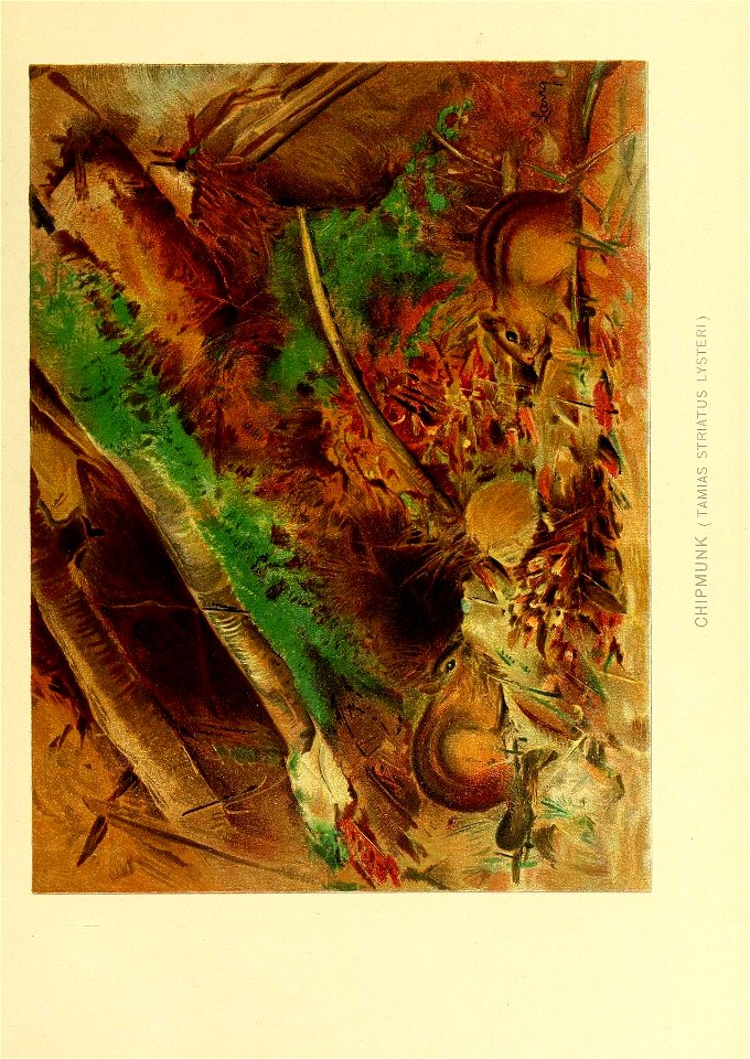 n546_w1150