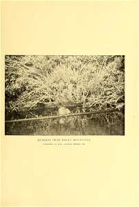 n506_w1150
