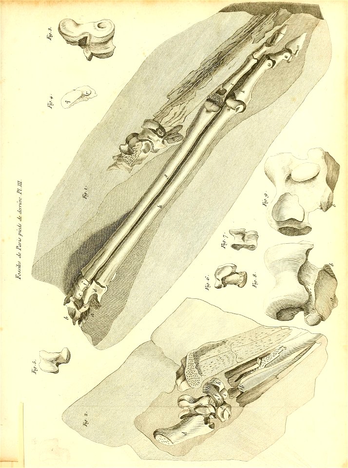 n136_w1150