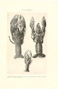n332_w1150
