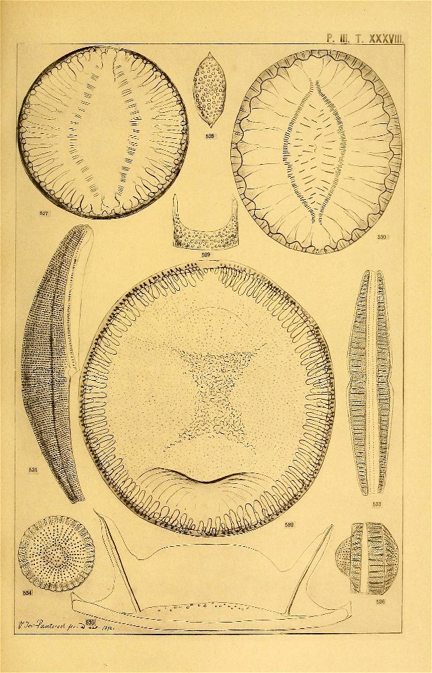 n158_w1150