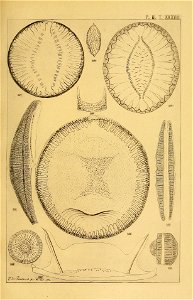 n158_w1150
