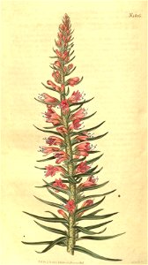 n156_w1150