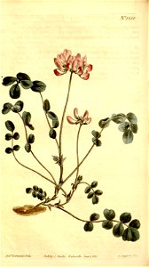 n59_w1150