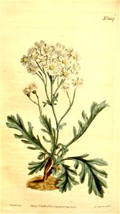 n129_w1150