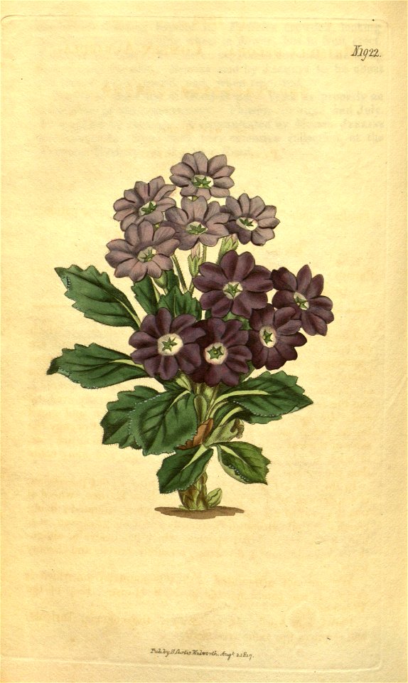 n172_w1150