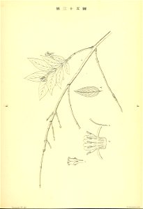 n254_w1150