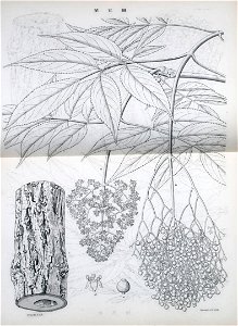 n134_w1150