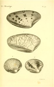 n132_w1150