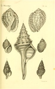 n102_w1150