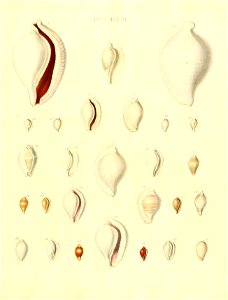 n42_w1150