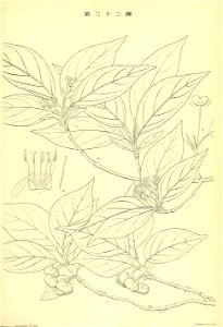 n246_w1150