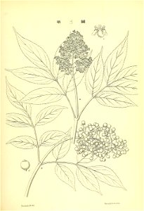 n122_w1150