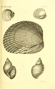 n98_w1150