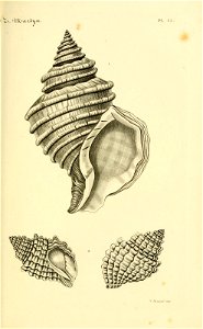 n68_w1150
