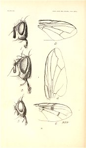 n115_w1150