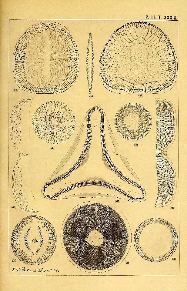 n162_w1150