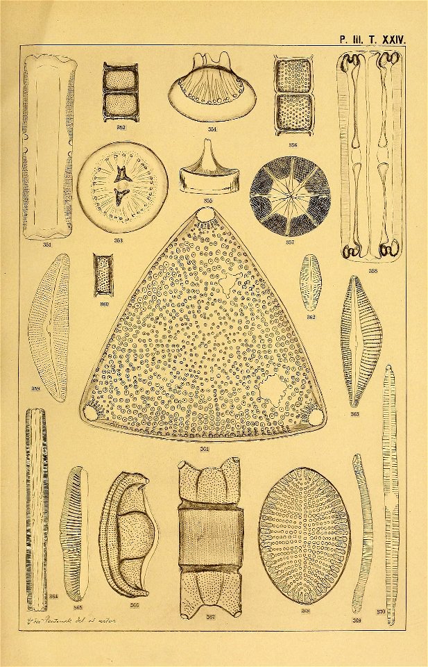 n102_w1150