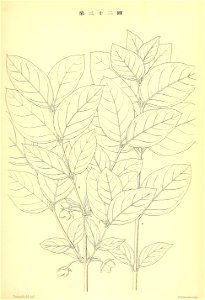 n242_w1150