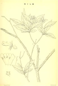 n182_w1150