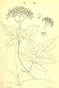 n118_w1150