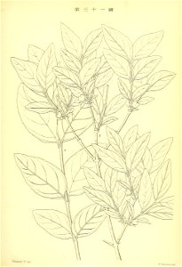 n238_w1150