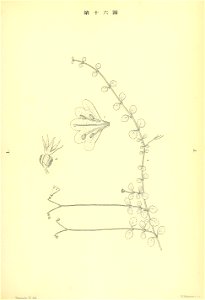n178_w1150