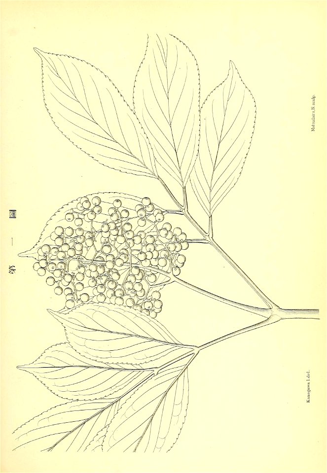 n114_w1150