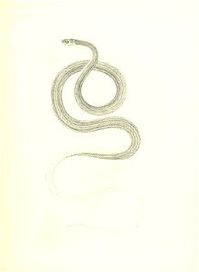 n506_w1150