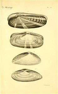 n154_w1150