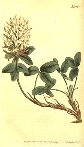 n59_w1150