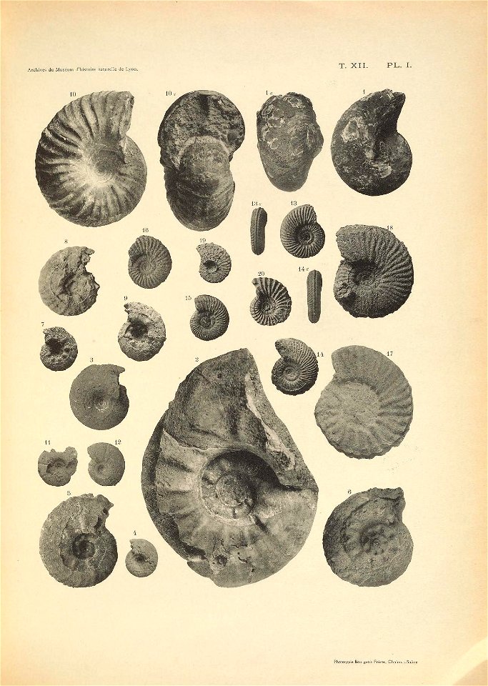 n186_w1150