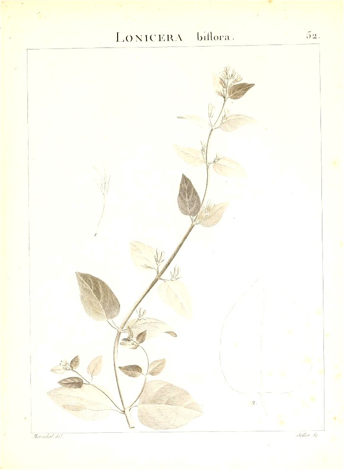 n112_w1150