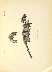 n322_w1150