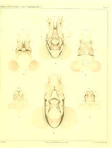 n190_w1150