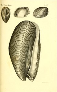 n96_w1150