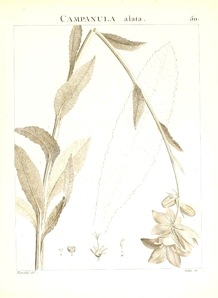 n108_w1150