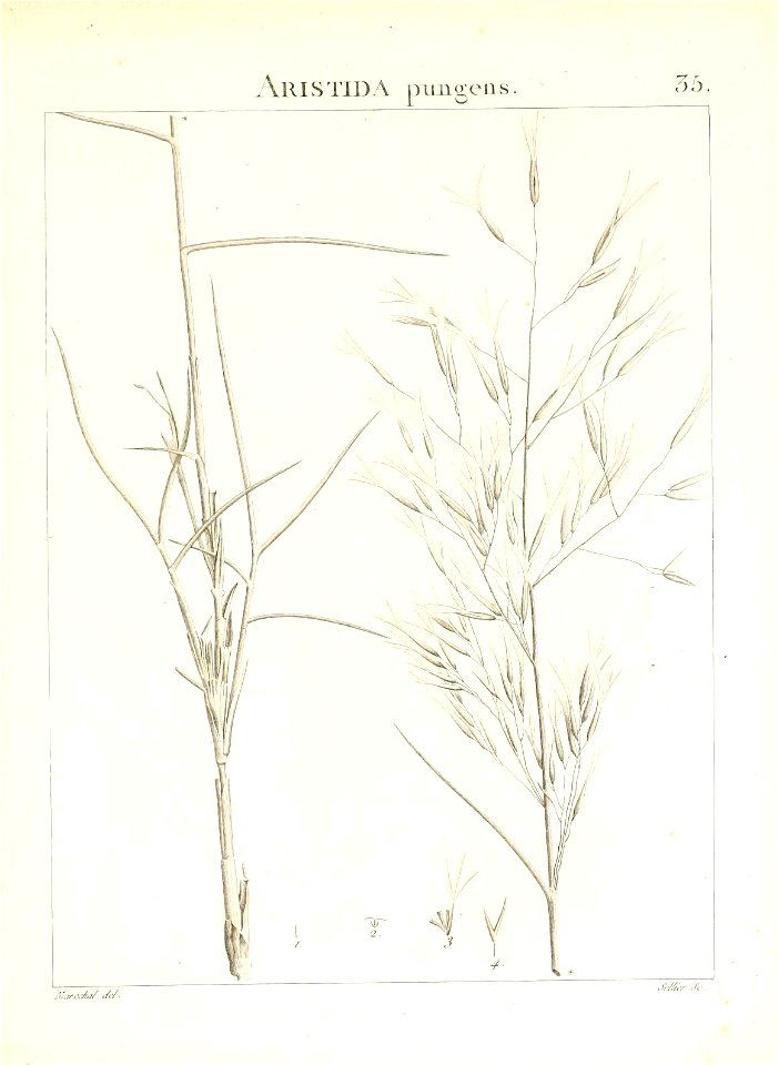 n78_w1150