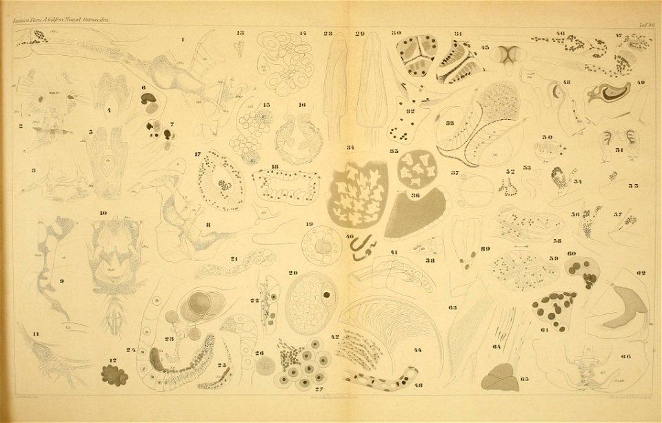 n578_w1150
