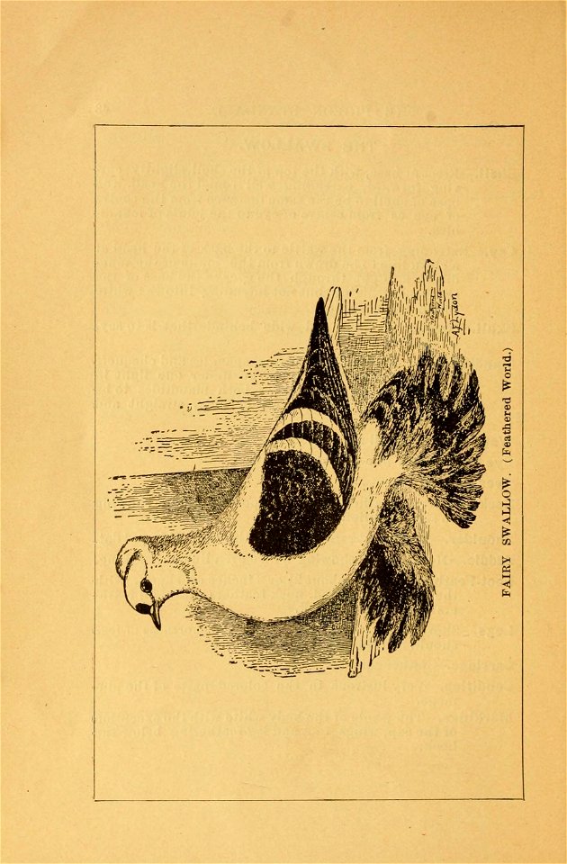 n45_w1150